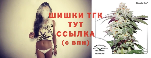 ПСИЛОЦИБИНОВЫЕ ГРИБЫ Аркадак