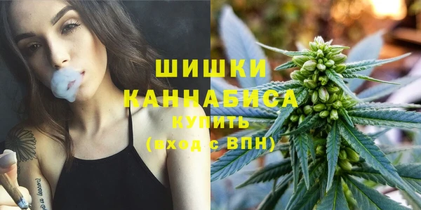 спиды Арсеньев