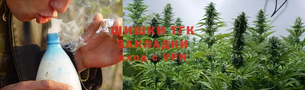ПСИЛОЦИБИНОВЫЕ ГРИБЫ Аркадак