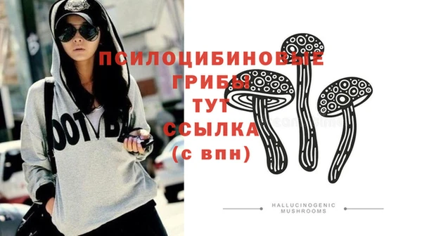 спиды Арсеньев