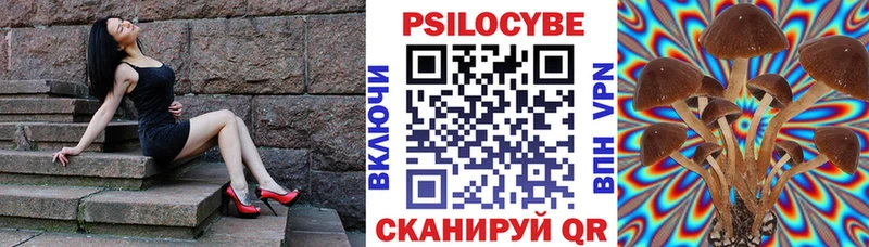 продажа наркотиков Полесск Псилоцибиновые грибы ЛСД